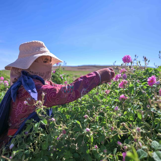 Una mujer marroquí con la colección de Damascena Rose para Weleda.